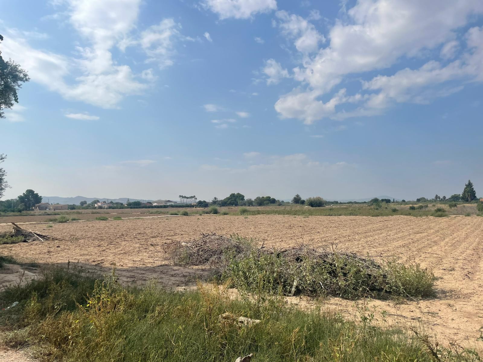 For sale: Land in Almoradí, Costa Blanca