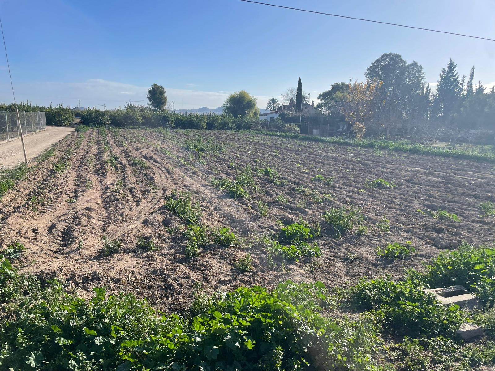 For sale: Land in Almoradí, Costa Blanca