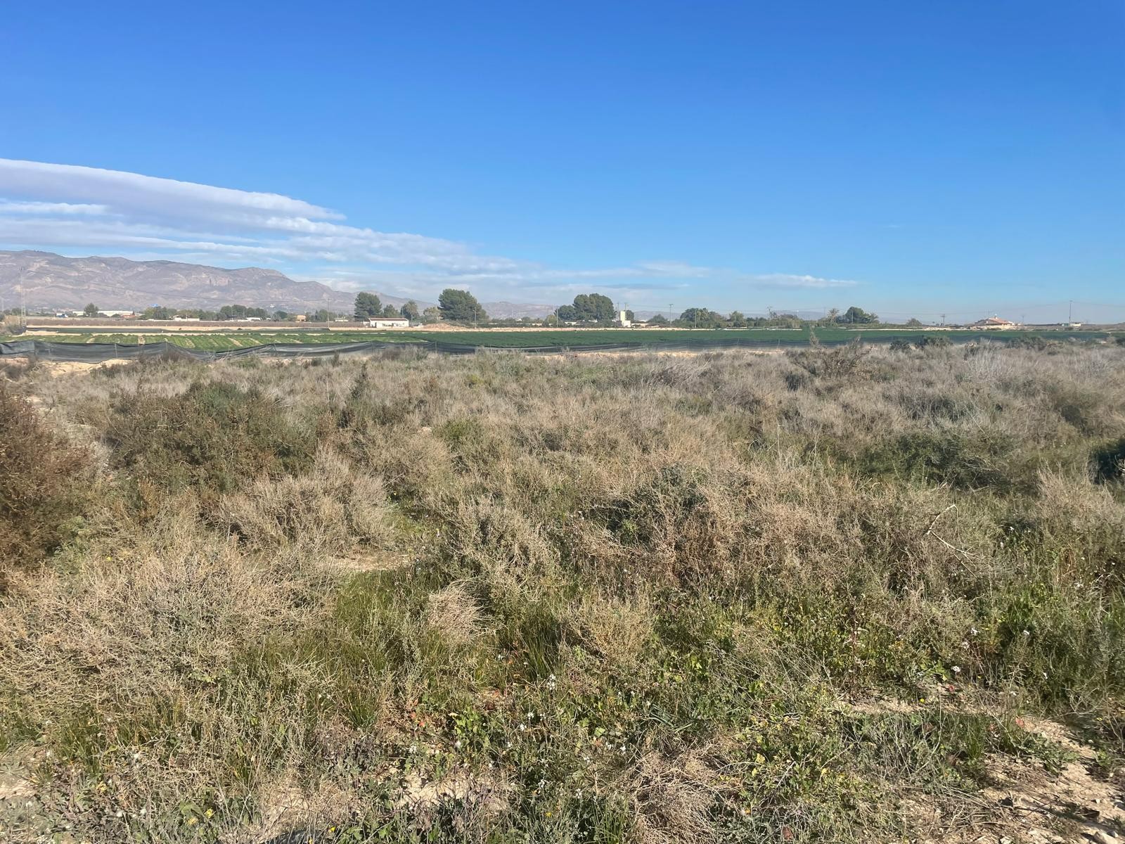 Land for sale in Crevillente, Costa Blanca