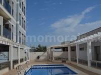 Venta - Apartamento / Piso - Almoradí