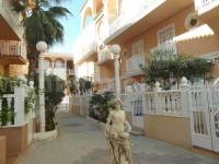 Coast and Beach -  - La Mata