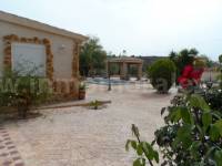 Revente - Villa ( Finca ) - Elche