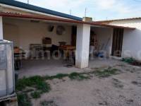 Venta -  - Crevillente - Crevillent