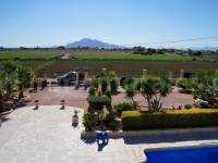 Revente - Villa ( Finca ) - Catral