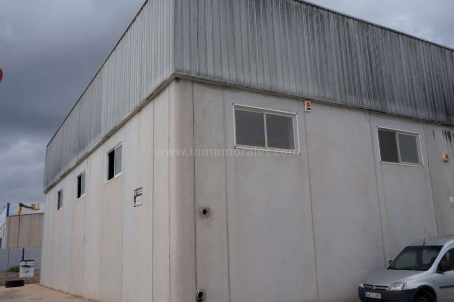 Resale - Warehouse - Almoradí