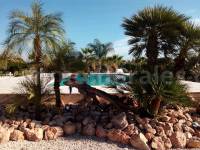 Revente - Villa ( Finca ) - Catral