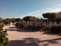 Revente - Villa ( Finca ) - Catral