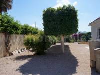 Revente - Villa ( Finca ) - Catral