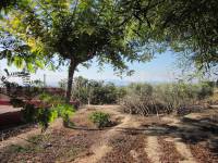 Resale - Country Villa   - Elche