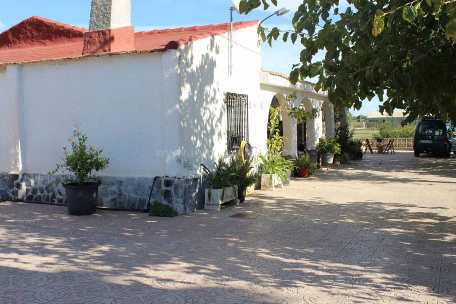 Venta - Casa de Campo - Crevillente - Crevillent