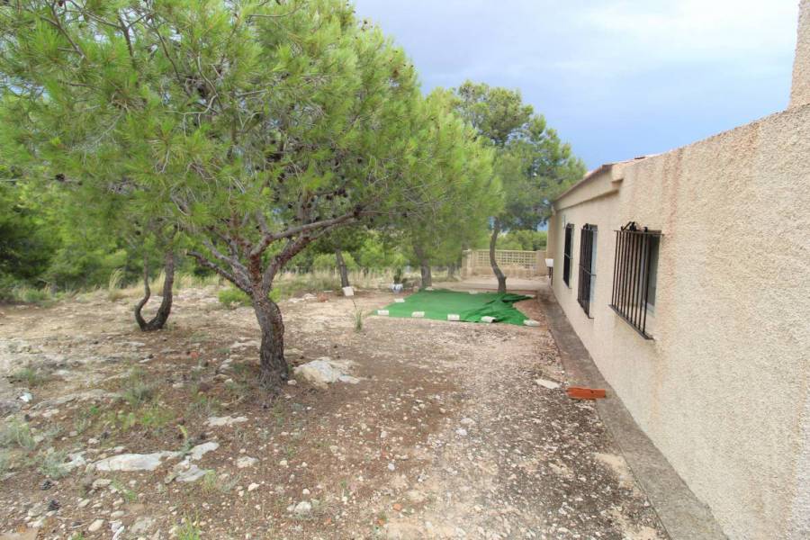Resale - Country Villa   - Crevillente - Crevillent