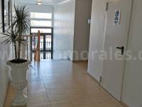 Venta - Apartamento / Piso - Almoradí