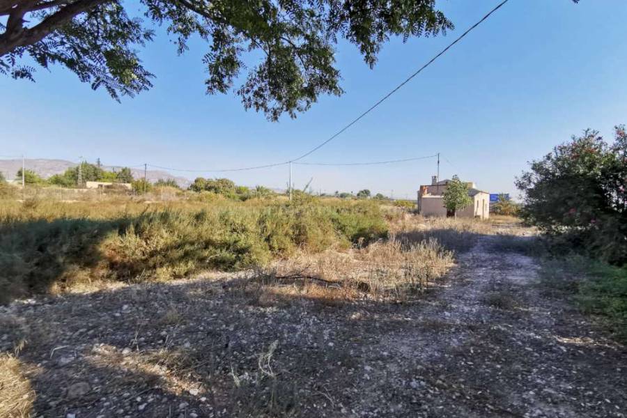 Resale - Renovation - Crevillente - Crevillent
