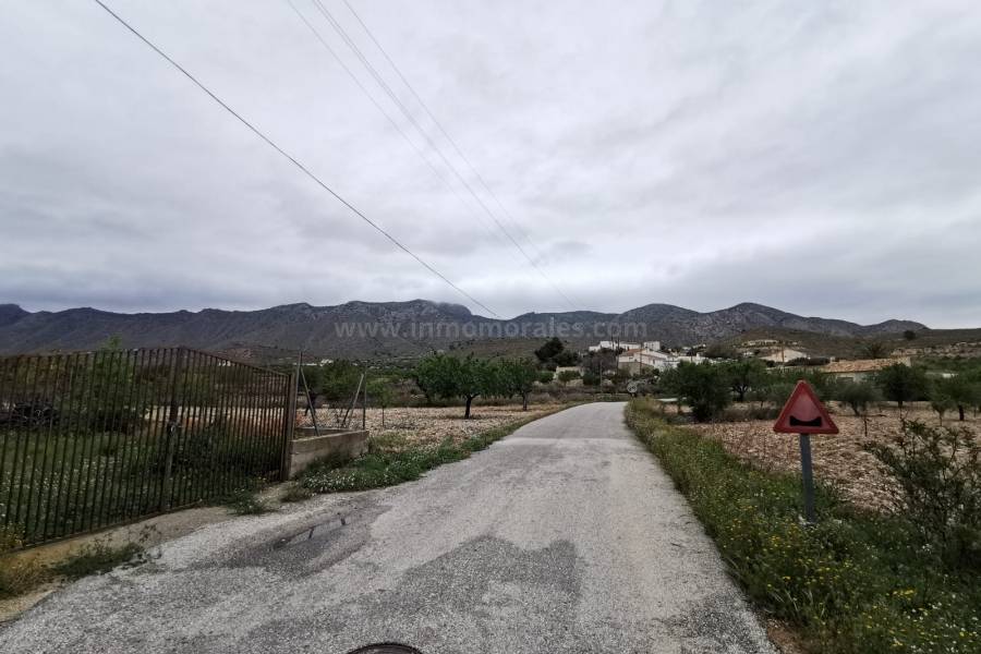 Resale - Renovation - Hondon de las Nieves
