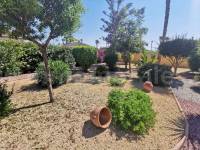 Resale - Country Villa   - Catral