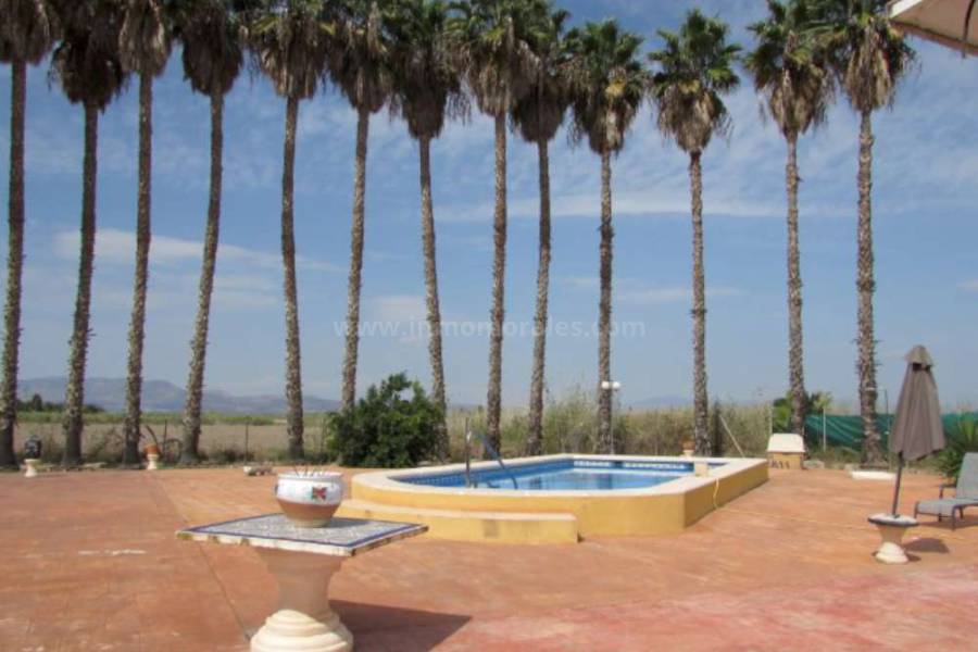 Resale - Country Villa   - Elche