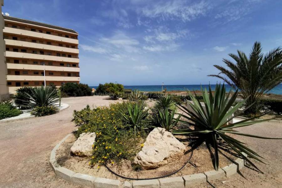 Coast and Beach - Apartment  - La Mata - Cabo Cervera