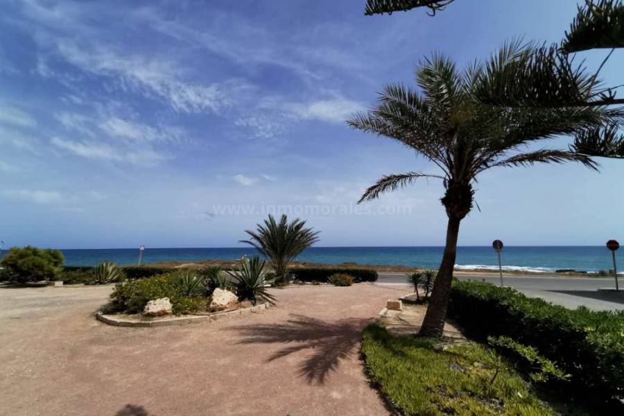 Strand und Küste - Wohnung/Apartment - La Mata - Cabo Cervera