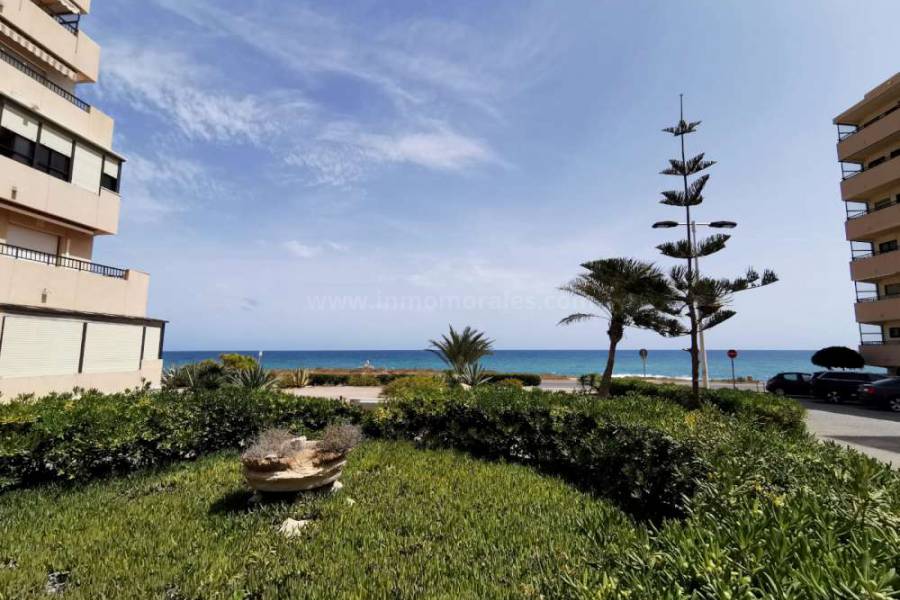 Strand und Küste - Wohnung/Apartment - La Mata - Cabo Cervera