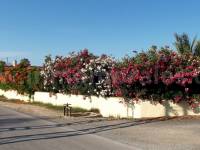 Resale - Country Villa   - Catral