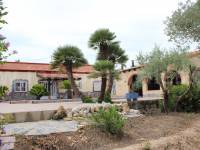 Revente - Villa ( Finca ) - Catral