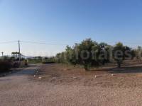 Resale - Country Villa   - Catral