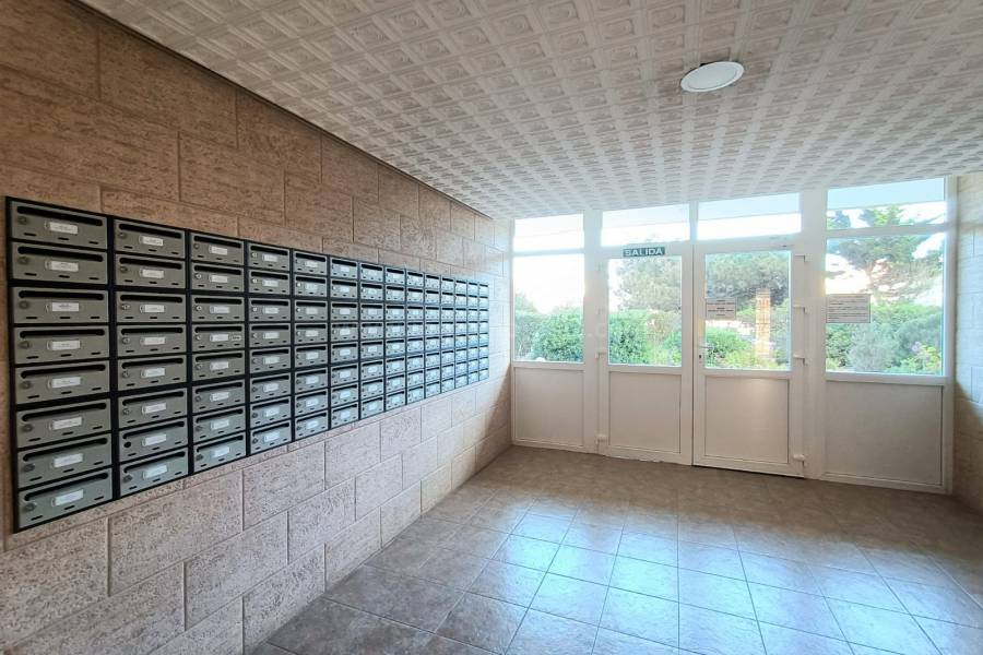 Resale - Apartment  - La Mata