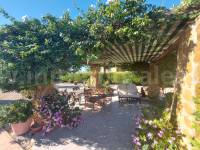 Revente - Villa ( Finca ) - Catral