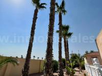 Revente - Villa ( Finca ) - Catral