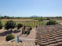 Revente - Villa ( Finca ) - Catral