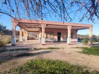 Revente - Villa ( Finca ) - Crevillente - Crevillent