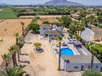 Revente - Villa ( Finca ) - Catral