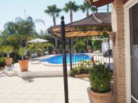 Revente - Villa ( Finca ) - Catral