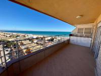 Coast and Beach - Penthouse - Guardamar del Segura - Guardamar Playa