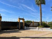 Resale - Detached House / Villa  - Catral