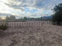 Venta - Casa de Campo - Crevillente - Crevillent