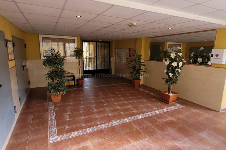 Venta - Apartamento / Piso - Rafal