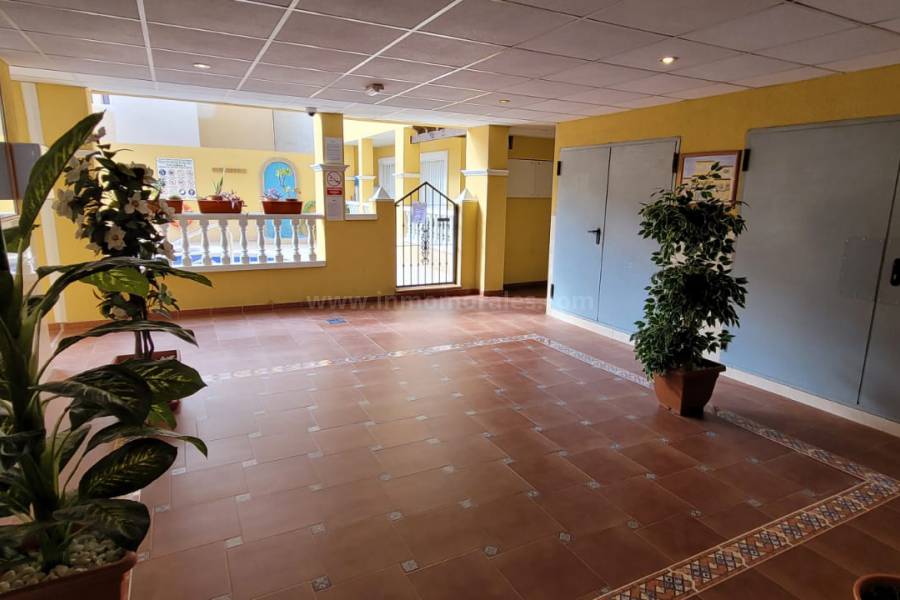 Resale - Apartment  - Rafal