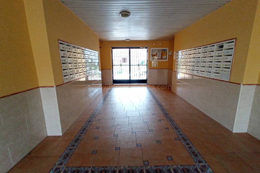 Venta - Apartamento / Piso - Almoradí