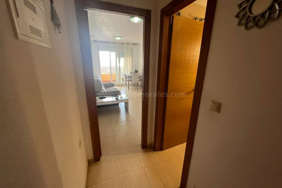 Revente - Appartement - Almoradí