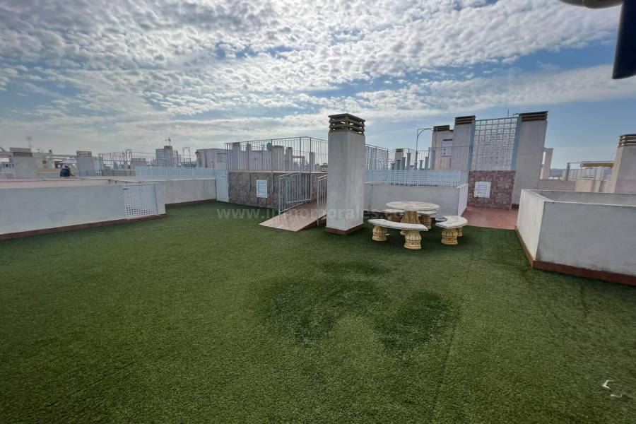 Revente - Appartement - Almoradí