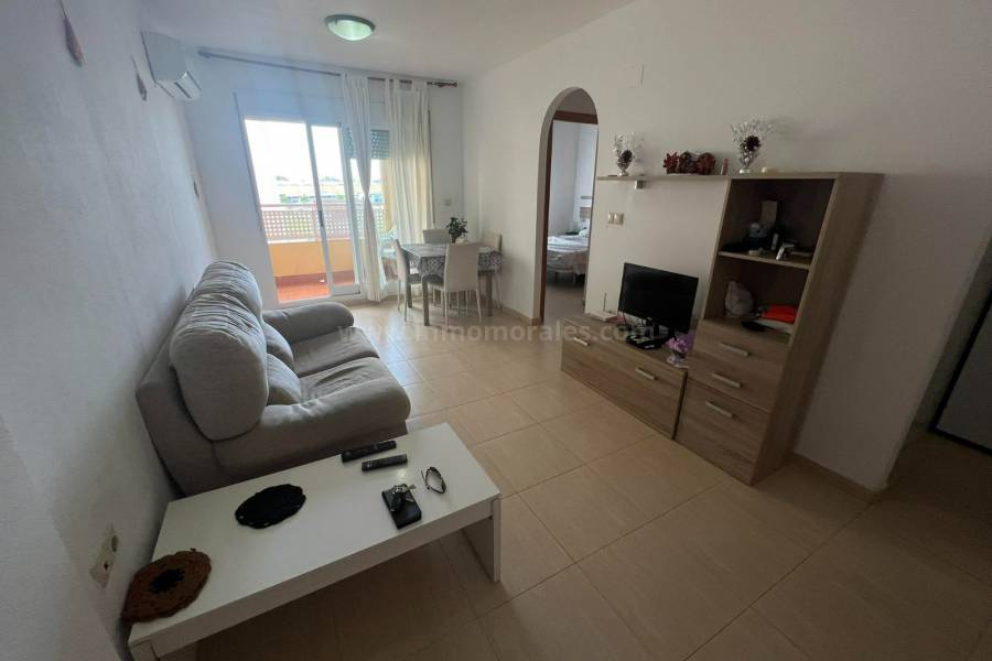 Revente - Appartement - Almoradí