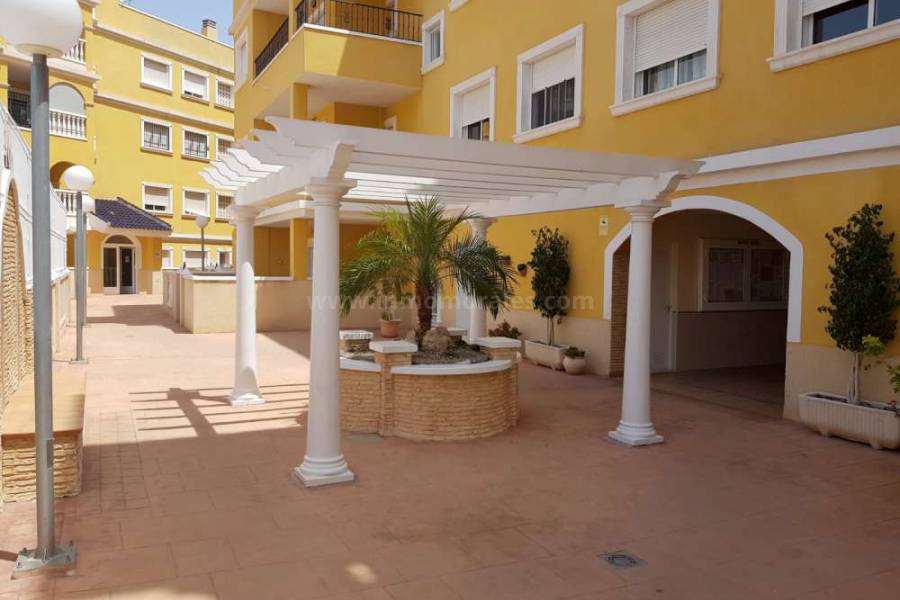 Venta - Apartamento / Piso - Almoradí
