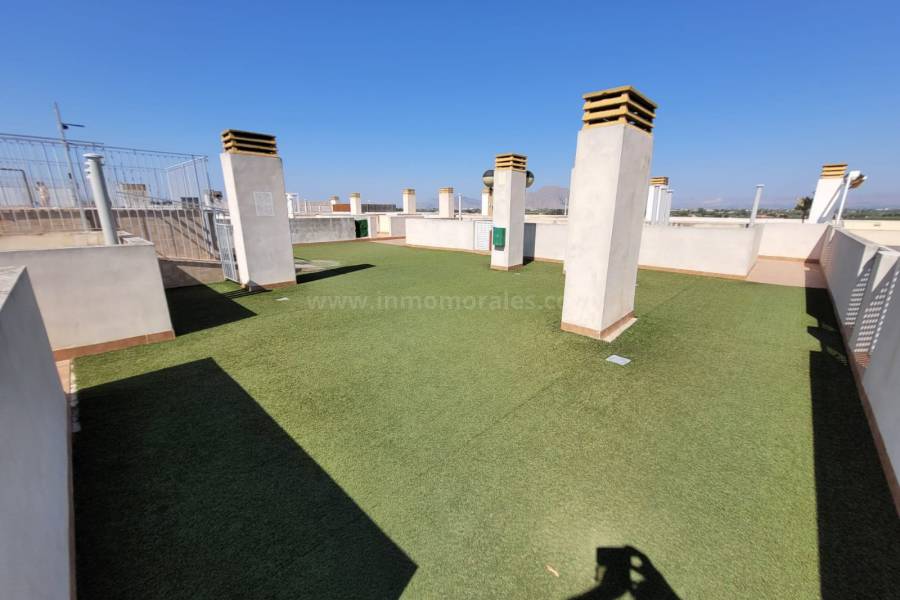 Herverkoop - Appartement - Almoradí