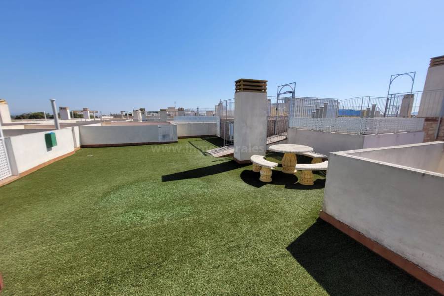 Herverkoop - Appartement - Almoradí