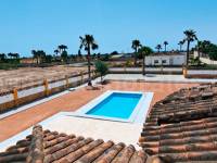 Revente - Villa ( Finca ) - Catral