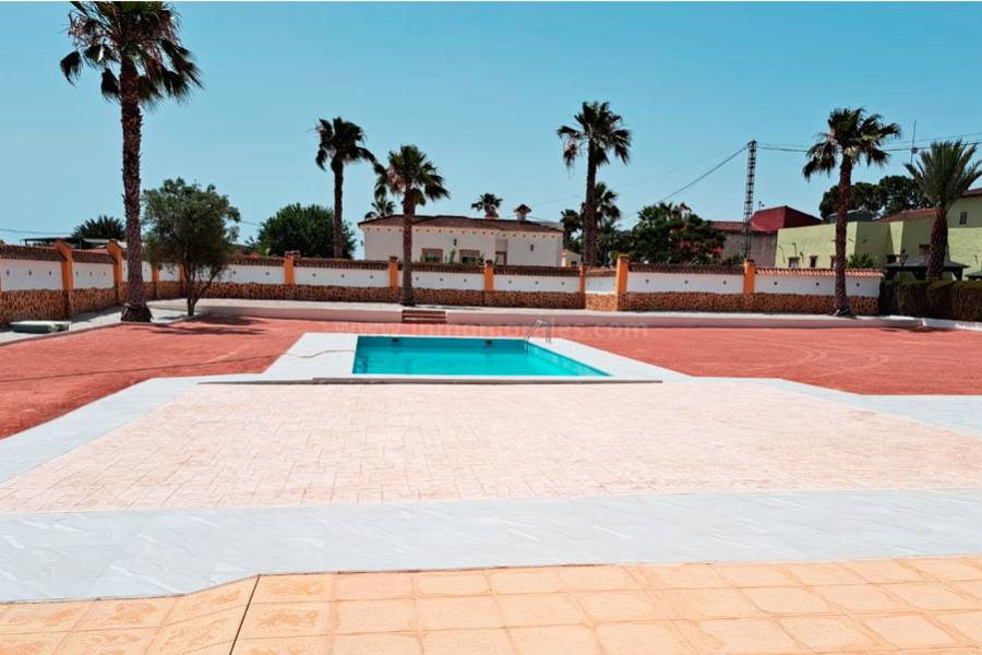 Revente - Villa ( Finca ) - Catral