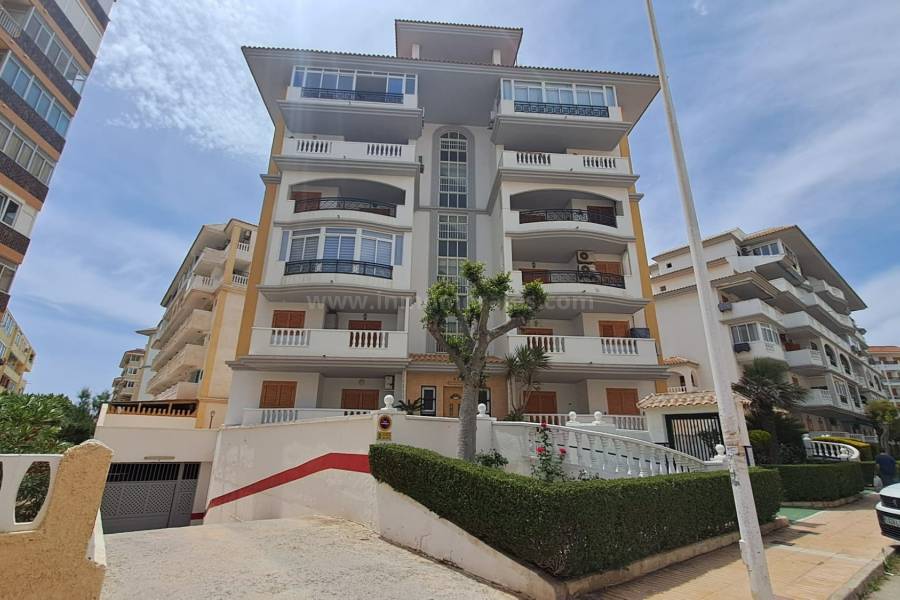 Revente - Appartement - La Mata