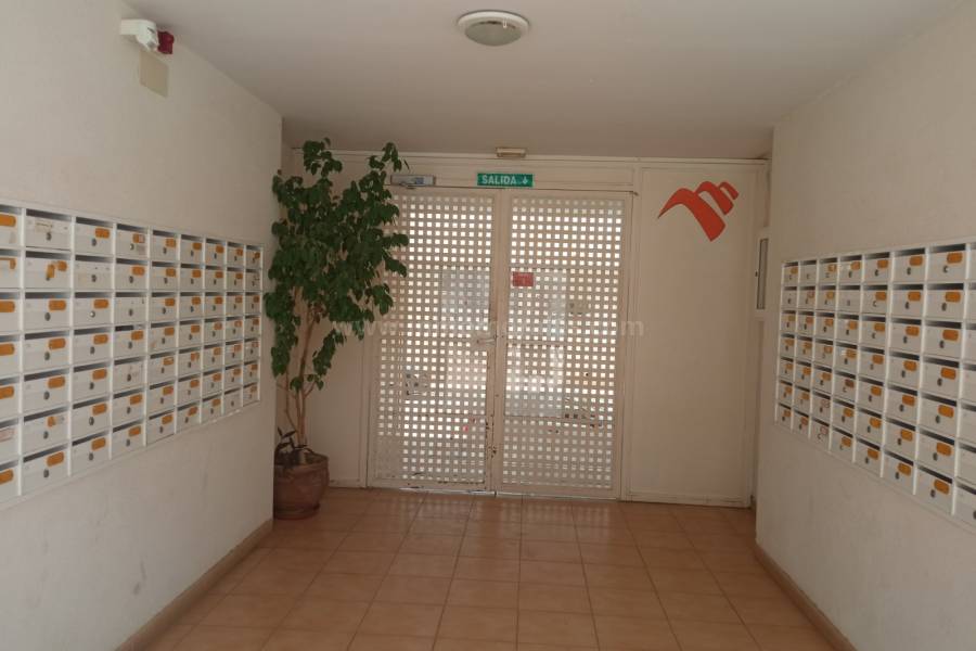 Venta - Apartamento / Piso - Almoradí