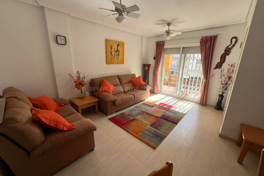 Revente - Appartement - Daya Nueva